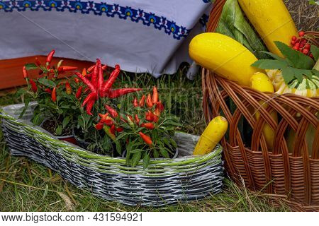 Red Chilli Peppers And Yellow Squash In Wicker Baskets Put On The Grass.