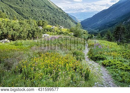 Rackova Valley, Western Tatras Mountains, Slovak Republic. Hiking Theme.