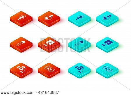 Set Water Tap, Garden Fence Wooden, Carrot, Forest, Bottle With Love Potion And Icon. Vector