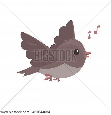 Little Flying Sparrow On A White Background