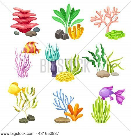 Sea Coral And Algae Growing On The Ocean Bottom Vector Composition Set