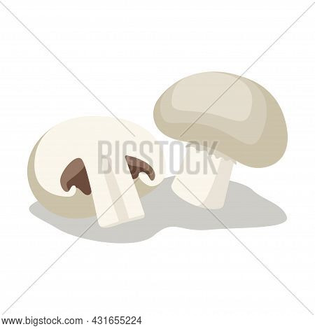 Cartoon Vector Illustration Mushroom. Sliced And Whole Champignons Isolated On White Background.