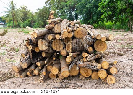 A Pile Of Stacked Firewood, Prepared For Heating The House, Firewood Harvested For Heating In Winter
