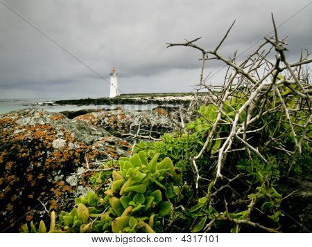 Faro