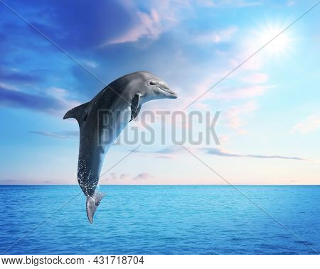 Beautiful Bottlenose Dolphin Jumping Out Of Sea With Clear Blue Water On Sunny Day