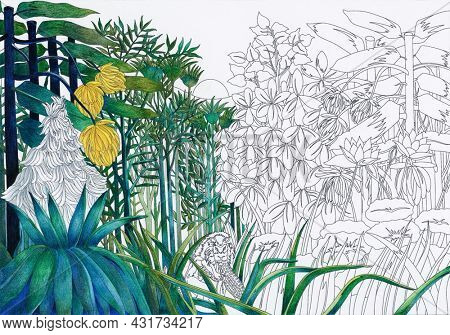 The Repast of the Lion (1907) by Henri Julien Rousseau : adult coloring page