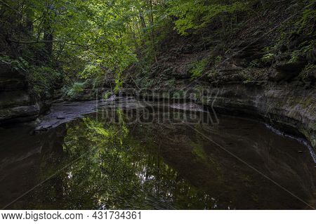 Green Leaves Dominate The Color Palate In A Canyon At Matthiessen State Park In Lasalle County, Illi