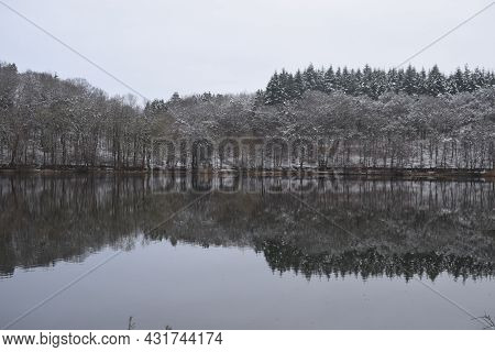 Holzmaar In Winter, Caldera Lake In The Eifel
