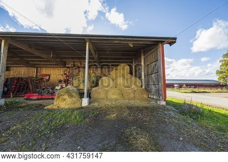 Beautiful View Of Rolled Hay Harvested For Winter. Animal Husbandry Concept.