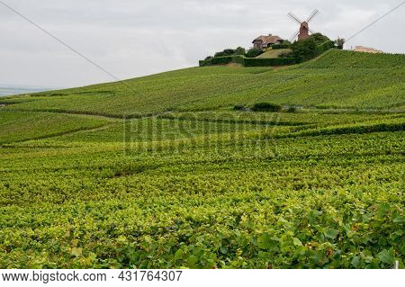 View On Moulin De Verzenay And Green Pinot Noir Grand Cru Vineyards Of Famous Champagne Houses In Mo
