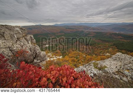 Beautiful Autumn Landscape With Bright Red Cotinus Coggygria Bush. Panoramic View Of The Mountains A