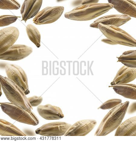 Barley Malt Grains Levitate On A White Background