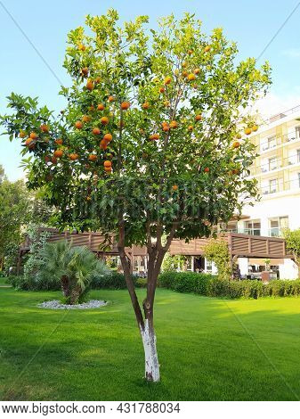Beldibi, Kemer, Antalya, Turkey - May 11, 2021: The Territory Of The Rixos Beldibi Hotel