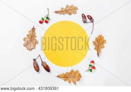 Autumn Minimal Composition. Wreath Of Acorns, Golden Aok Leaves And Red Berries On White Background.