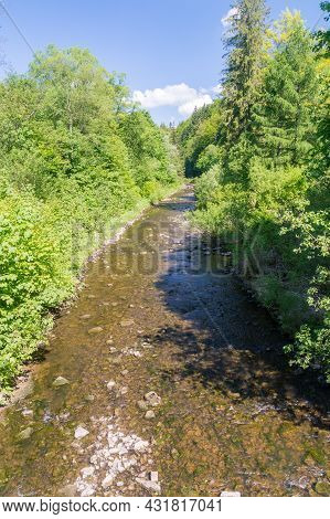 Stream Of Vistula River Between Trees Near Czernianskie Lake At Summer Time In Wisla, Poland.