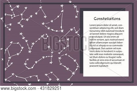 Patterns Of 12 Zodiac Signs. Vector Illustration Of The Horoscope Of The Constellation. Template For