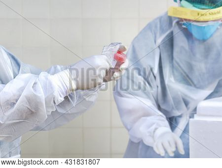 Focus At Health Worker's Hand Is Collecting Sputum And Saliva Samples To Detect Covid-19 Infectious 