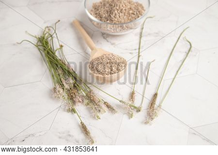 Plantain Stems And A Wooden Spoon With Psyllium Psyllium Seed Husk On A Light Table. The Concept Of 