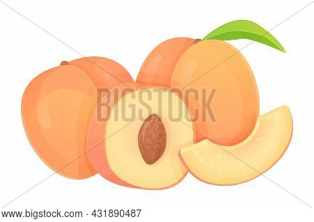 Collection Of Peaches In Different Shapes, Slice, Half With Seed, Whole Fruit. Can Be Used For Healt