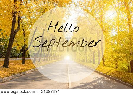 Hello September Banner With A Landscape . Autumn Park Landscape. A New Season. A Greeting Card. Land