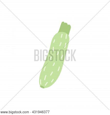 Cartoon Zucchini Isolated. Green Zucchini Illustration Vector. Green-fruited Vegetable With A Silver