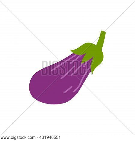 Cartoon Eggplant Isolated. Vector Stock Illustration Of Eggplant. Herbaceous Plant Of The Genus Sola