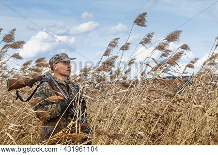 In Late Autumn, The Vegetation On The Shore Of The Lake Turned Yellow. The Duck Hunter Holds A Disch