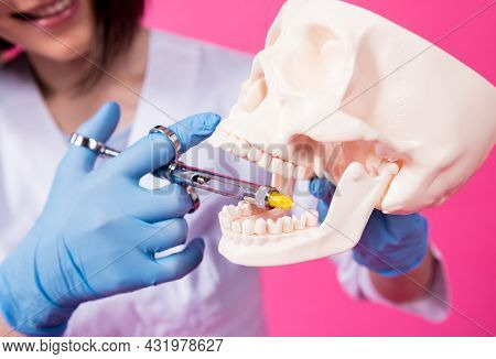 Woman Dentist With A Carpool Syringe Injects Anesthetic Into The Gum Of The Artificial Skull