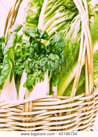 Closeup Of Fresh Baby Bok Choy Ans Cos insalata nel cestino Ratten come sfondo