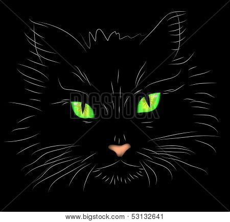 Vector illustration a portrait of a cat on a black background with brightly green eyes