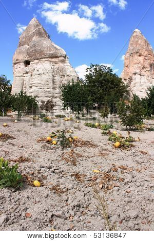 Cappadocia Garden