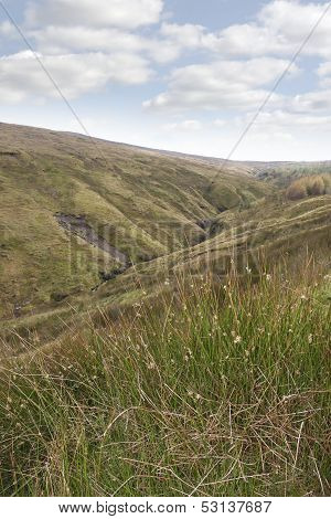 Long Grass And Bogland With Green Mountains