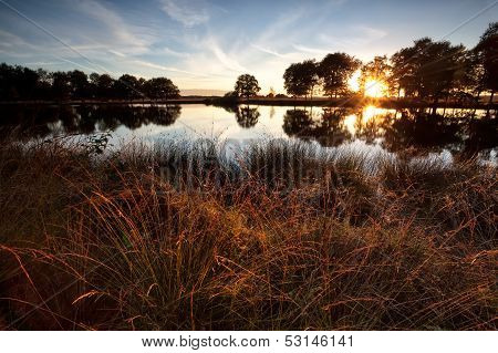 Star Sunbeams Over Wild Lake At Sunset