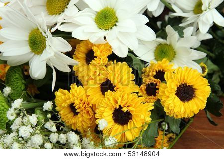 Beautiful flowers close up