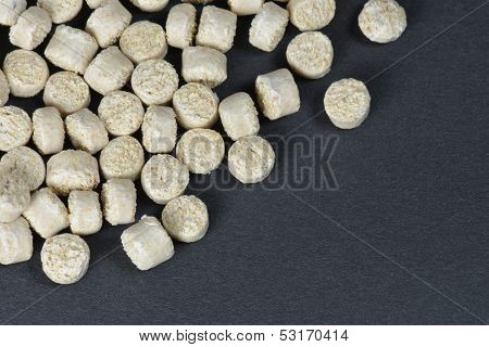 Biopolymer