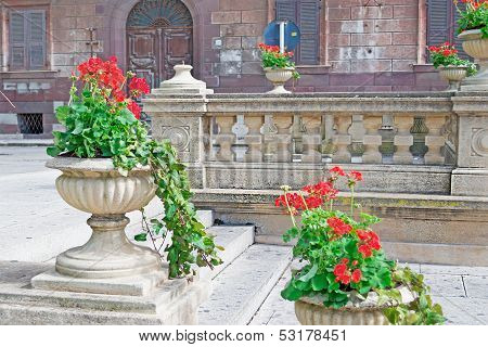 Flower Pots In Sassari