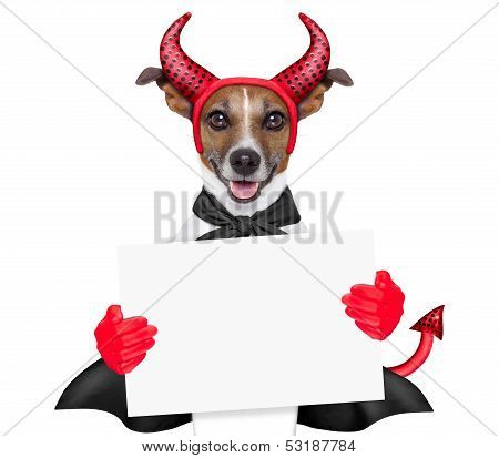 Devil Dog