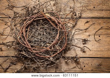 Empty Nest