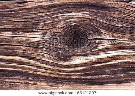 Wood Texture