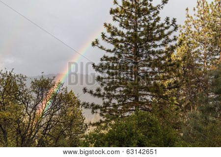 A Rainbow At Yosemite