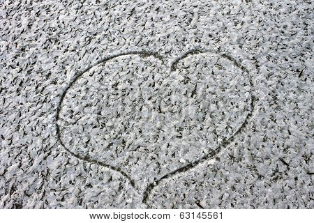 Love Heart Loyalty Winter Cold Background On Valentine's Day