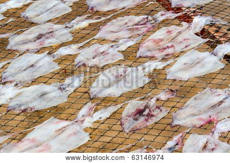 Dried Squid In Thailand.