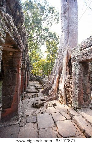 Banteay Kdei In Siem Reap ,cambodia