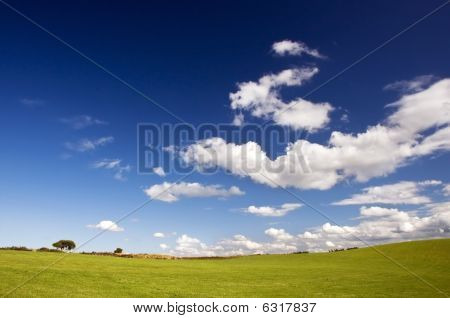 Green Pasture