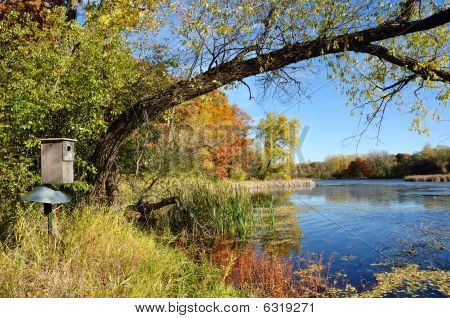 Holz Ente Box von Teich