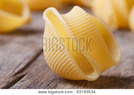 Uncooked Italian Pasta Lumaconi On The Table Macro