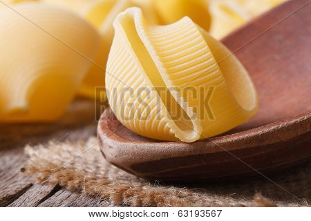 Raw Italian Pasta Lumaconi On A Wooden Spoon