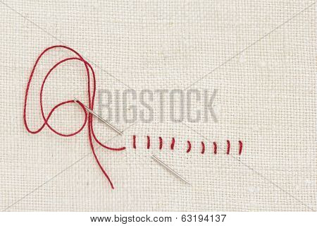 Stitches and needle