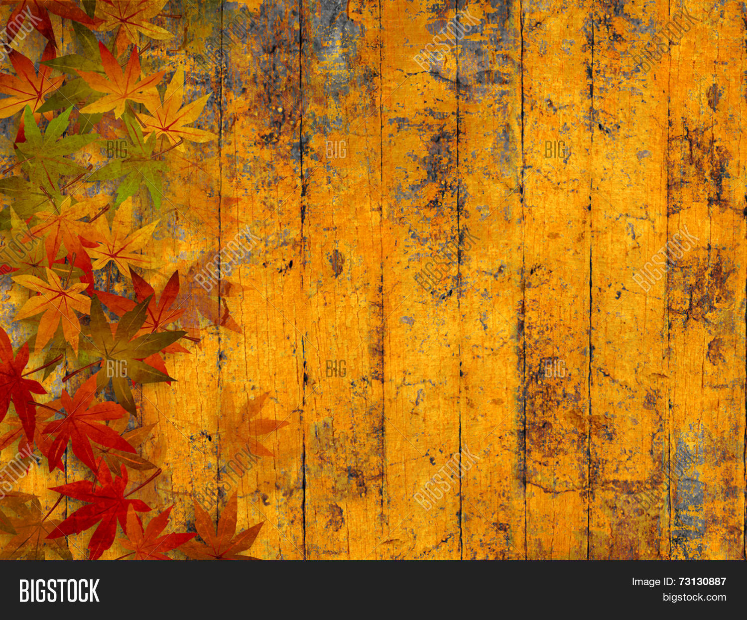 Grunge Autumn Image & Photo (Free Trial) | Bigstock