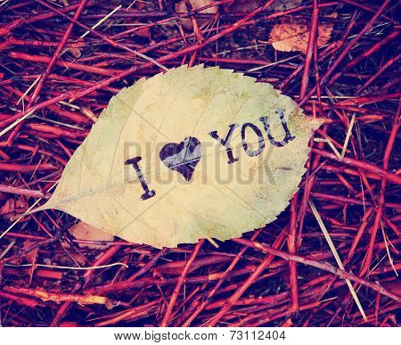 a leaf that reads 